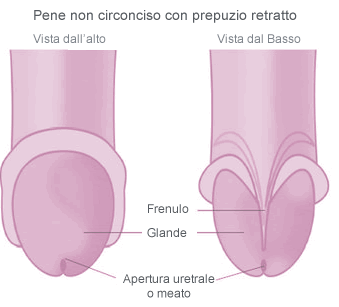 arrossamento del pene dopo la prostatite, lerezione scompare